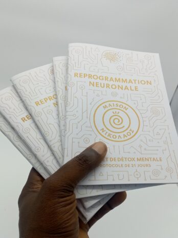 REPROGRAMMATION NEURONALE – Le carnet de détox mentale !